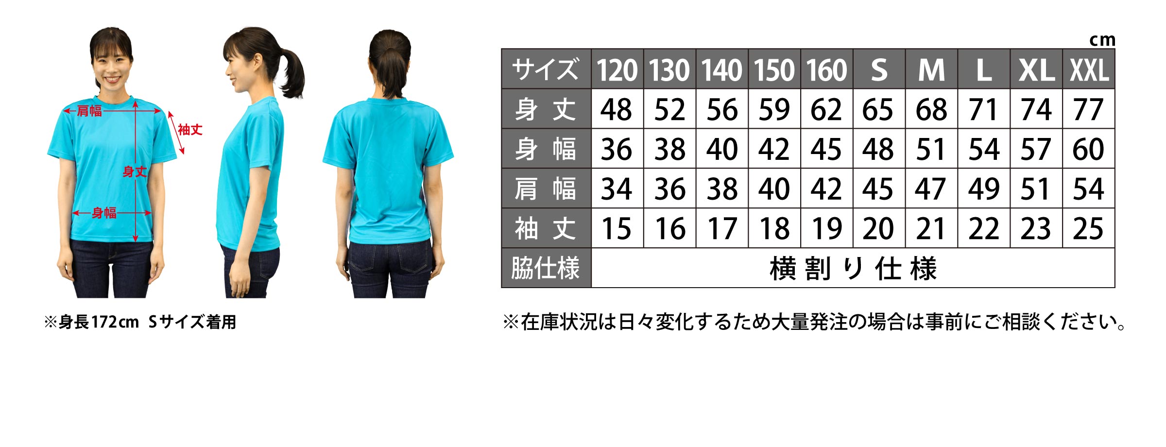 ドライTシャツ サイズ